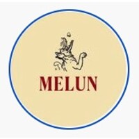 Melun logo - Similar company to Ilumens