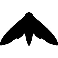 Avelaiña Studio logo - Similar company to Eclipse Comunicación Dixital S.L.