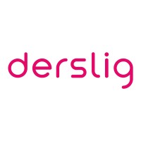 Derslig.com logo - Similar company to Etz Akademi