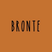 Bronte Co logo - Similar company to Digital Hive Solutions