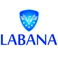 Labana Housing logo - Similar company to Ecco Electronics Pvt. Ltd.