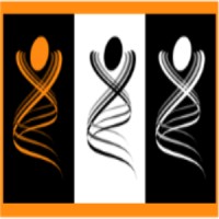 Plenum Multinational Investment Company Limited logo - Similar company to K.A.Multinational Technology Company