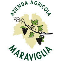 Azienda Agricola Maraviglia logo - Similar company to Il Brolo