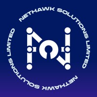 NetHawk Solutions Limited logo - Similar company to Nethawk Interactive, Inc.