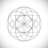 Consecrated Holdings logo - Similar company to Premier Diagnostics