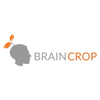 BrainCrop logo - Similar company to Mubix Solutions