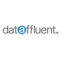 dataffluent logo - Similar company to Bi Brainz Group