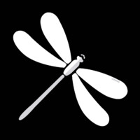 dragonfly logo - Similar company to Scchksa