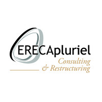 ERECApluriel Consulting & Restructuring logo - Similar company to Erecapluriel