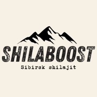Shilaboost logo - Similar company to Johnsrud Media As