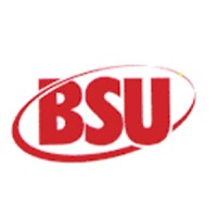 BSU Incorporated logo - Similar company to Amy Franko Associates