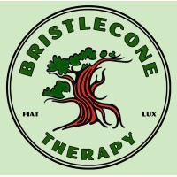 Bristlecone Therapy logo - Similar company to Central Kansas Mental Health Center