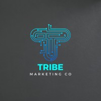 Vibe Tribe Marketing Co logo - Similar company to Datafi Analytics