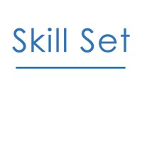 Skill Set logo - Similar company to Skill Set Consulting