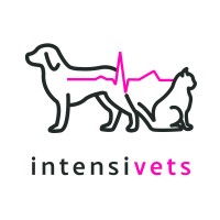 Intensivets logo - Similar company to Intellivets