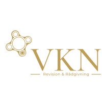 VKN Revision & Rådgivning logo - Similar company to Skivenue