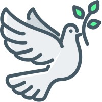 Kerygma Digital logo - Similar company to Asian Student Organization At Emory