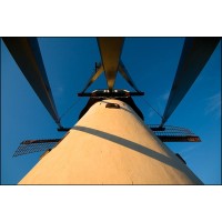 Allesterin Bv (Witte Molen)