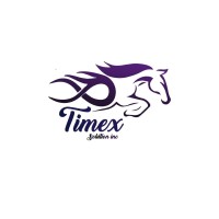 Timex Solution Inc logo - Similar company to Timex Solution Inc