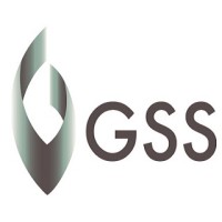 GSS Gulf General Trading LLC logo - Similar company to Raw Expertz Ltd.