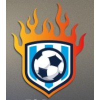 FC Porto Dragon Force Valencia logo - Similar company to Ysf Academy