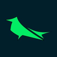 ByteRaven logo - Similar company to Adeptus Technologies Pvt Ltd