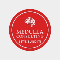 Medulla Consulting, LLC logo - Similar company to Medullar