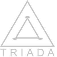 TRIADA CRANE, S.A. DE C.V. logo - Similar company to Triada Crane