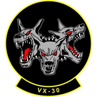 Air Test and Evaluation Squadron 30 (VX-30) logo - Similar company to Air Test And Evaluation Squadron 31 (Vx-31)
