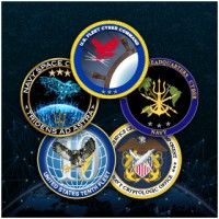 U.S. Fleet Cyber Command / U.S. Navy Space Command / U.S. TENTH Fleet logo - Similar company to Navy Cyber Defense Operations Command