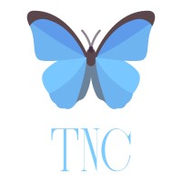 The New Conservative logo - Similar company to Orthodox Conservatives