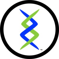 System Zing, LLC logo - Similar company to Sibannac