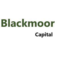 Blackmoor Capital logo - Similar company to Blackmoor