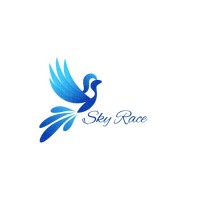 Sky Race logo - Similar company to Sky Computing Pvt. Ltd.