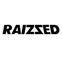 Raizzed logo - Similar company to Agentur Concept