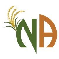 N A Global Impex logo - Similar company to Formula Technologies Pvt Ltd