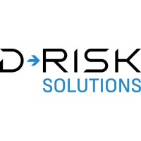 D-RISK Solutions logo - Similar company to D-Risk Group