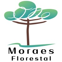 Moraes Florestal logo - Similar company to Mata Sagrada Ambiental