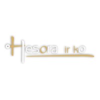 UAB Hesora ir Ko logo - Similar company to Moneymaker