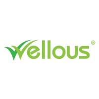 Wellous Vietnam logo - Similar company to Headfully