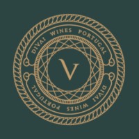 DIVAI logo - Similar company to Azinor