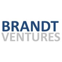 Brandt Ventures logo - Similar company to Blue Ape