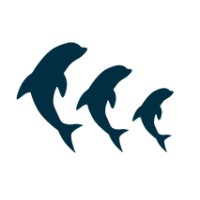 Dolphinvest Capital GmbH logo - Similar company to Bayerische Vermögen Management Ag