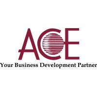 ACE MARKETING INC. logo - Similar company to Coding&Play Inc.