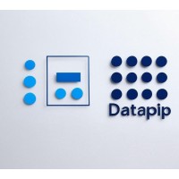 Datapippd logo - Similar company to D2Cm