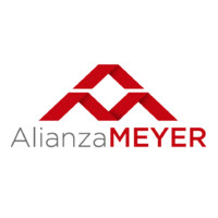 ALIANZA MEYER logo - Similar company to Winders