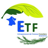 Entrepreneurs de travaux forestiers Grand Est logo - Similar company to Delta-Forest
