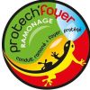 PROTECH FOYER logo - Similar company to Norfire Design, Inc.