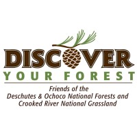 Discover Your Forest logo - Similar company to Rareform - Uncommon Creative