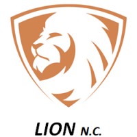 Lion Negócios e Consultoria